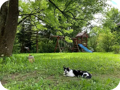 Élmények az Őrségben - Csend és feltöltődés